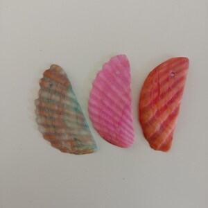 Shell Earrings Orange