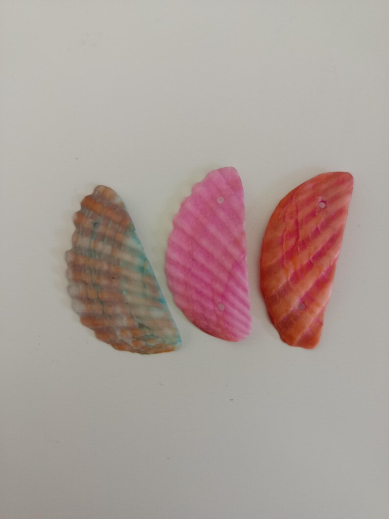 Shell Earrings Orange