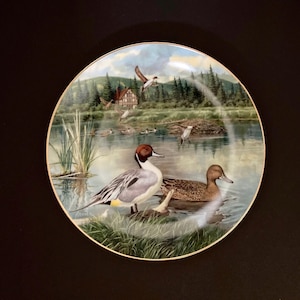 The Pintail Plate by Bart Jerner 1986 Collector Plate Knowles Living with Nature