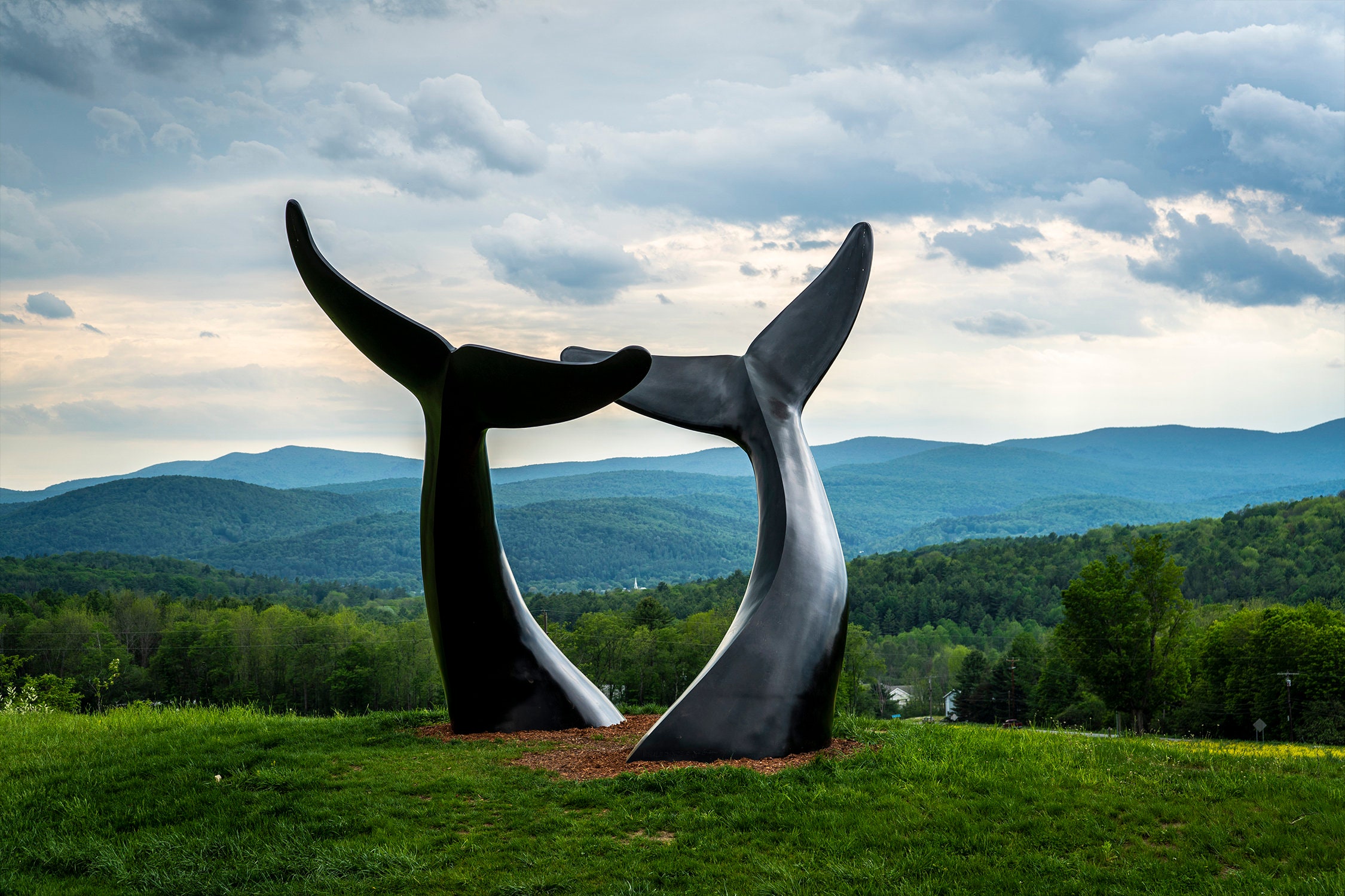 Whale Tails Randolph Vermont Photograph Etsy