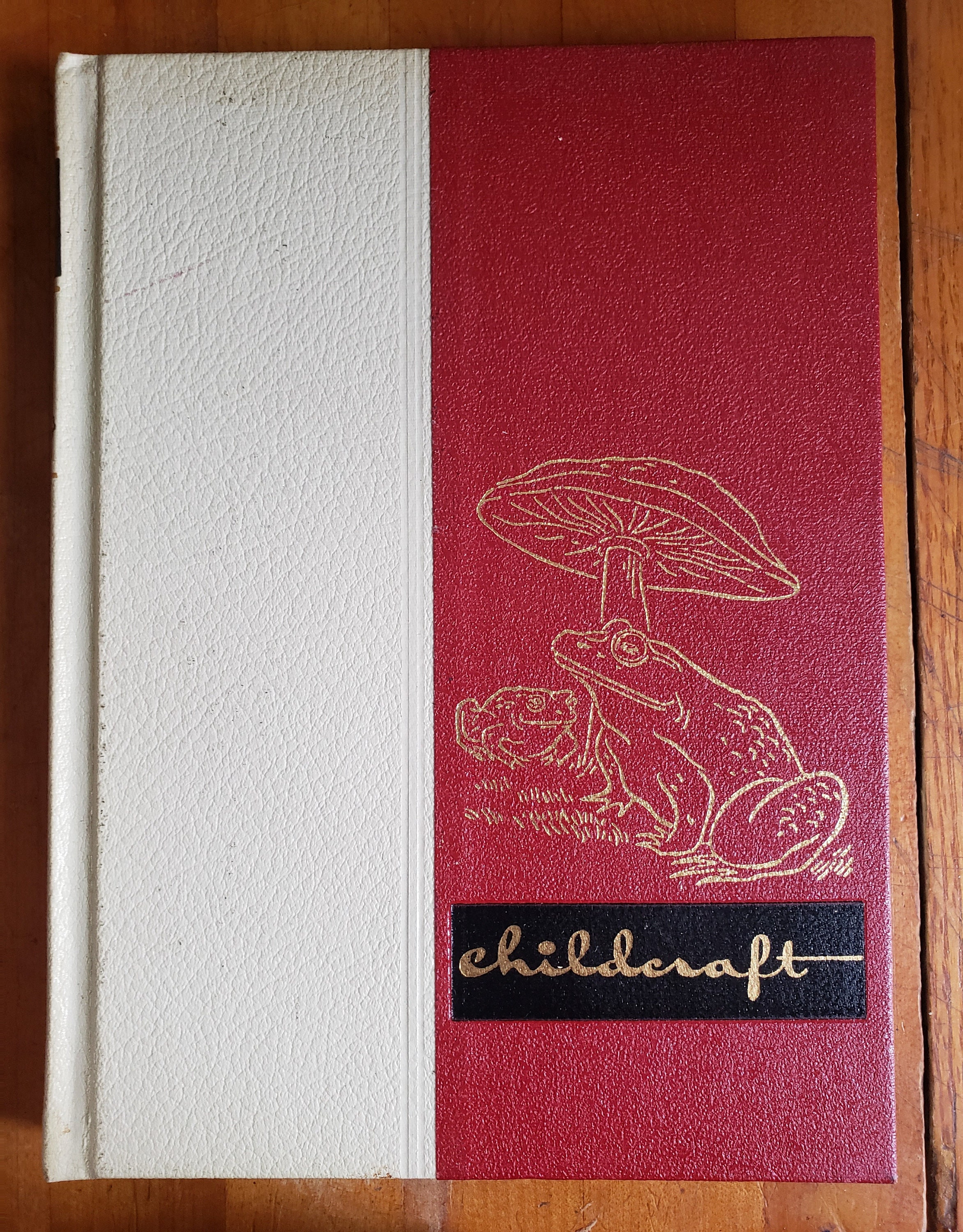 Childcraft Encyclopedia 1960 7: Exploring the World Around Us | Etsy 
