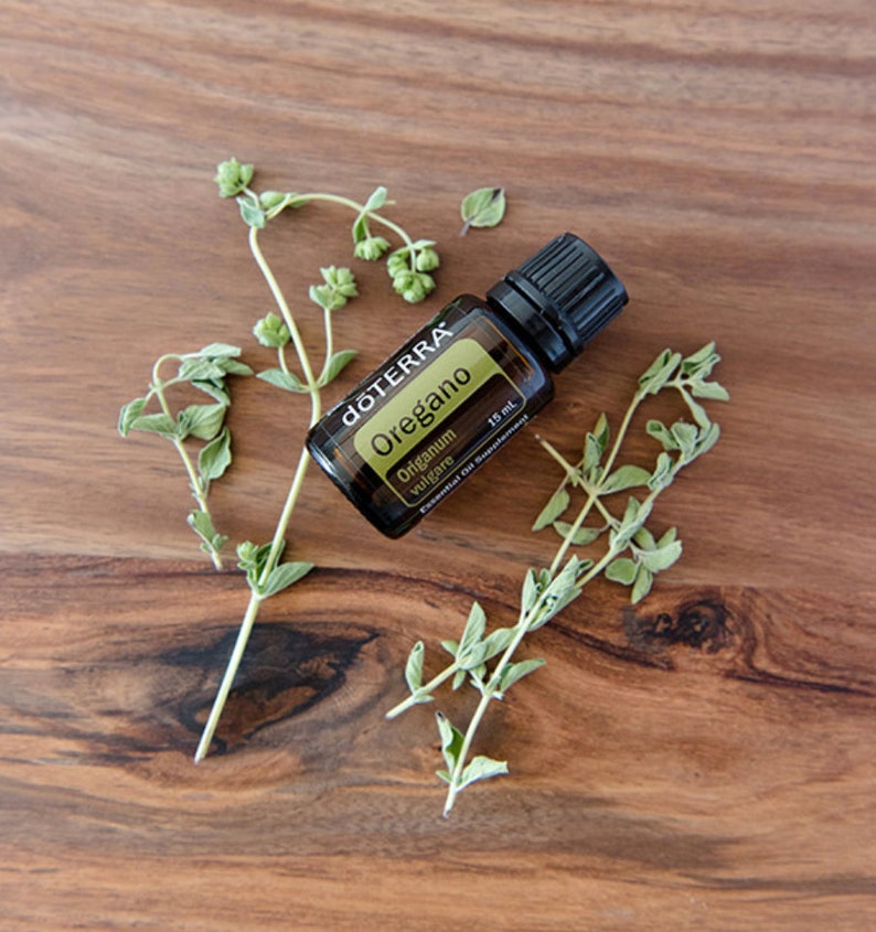 DoTERRA Oregano Essential OilPowerful cleansing properties Etsy