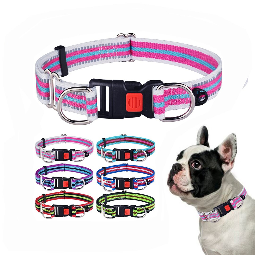 Adjustable Reflective Double Dog Collar With D Ring Unisex Etsy