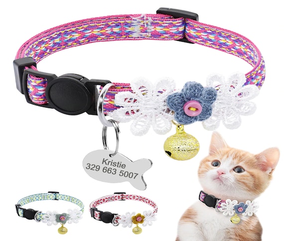 kitten collar with name tag