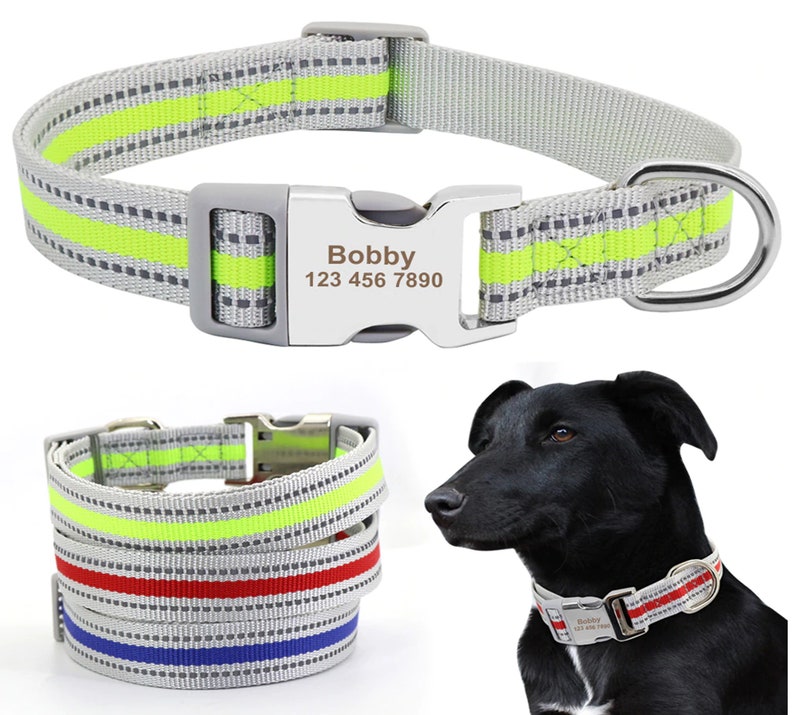 nylon dog collar with metal buckle