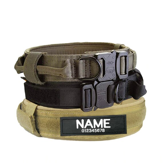 Dog collar with handle and name Clearance