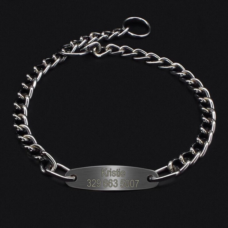 Chain Dog Collar Personalized Pet Collars Silver Dogs Training Etsy