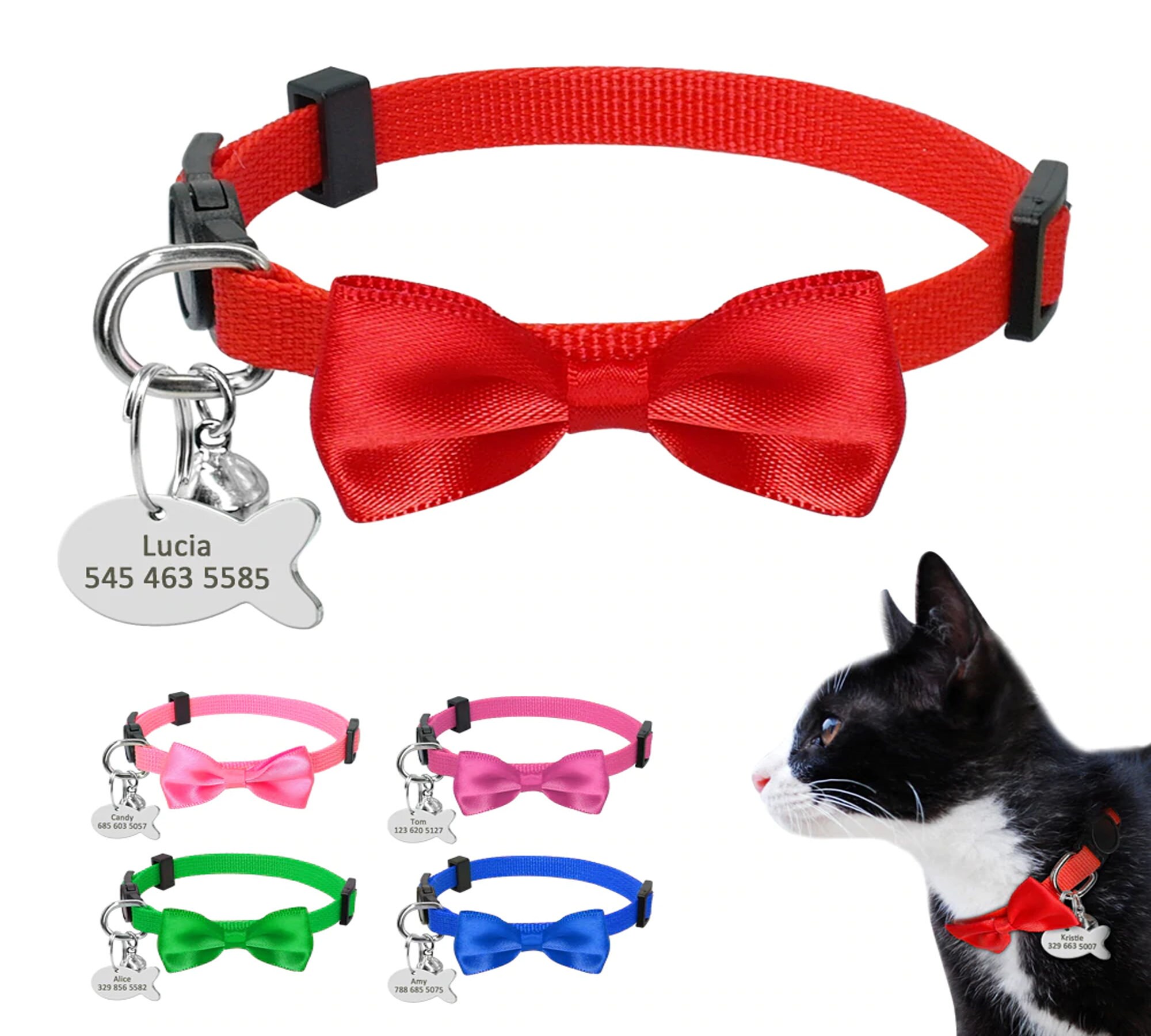 quick release kitten collar