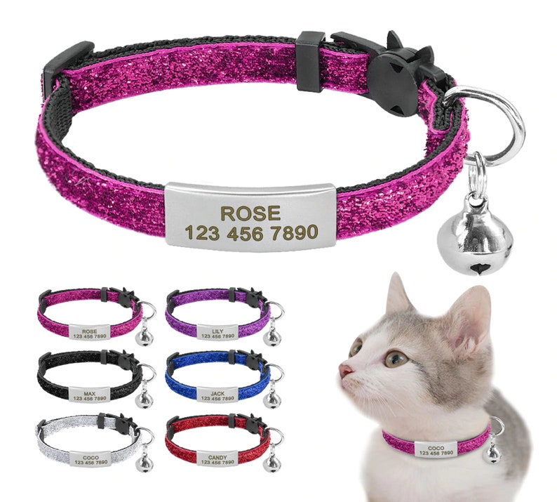 Beautiful cat collar Quick Release Bling Puppy Kitten ID Tag Etsy