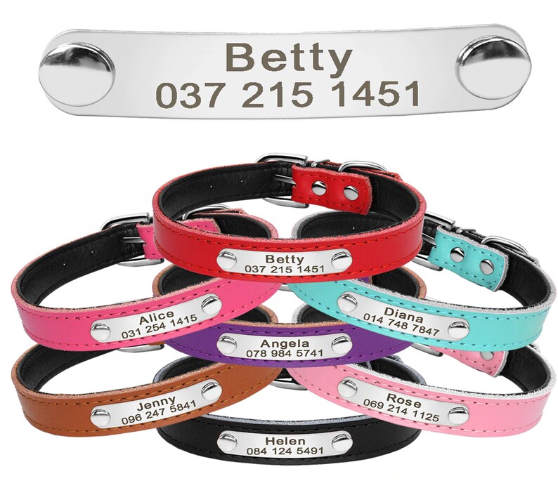 dog collars with engraved name plate