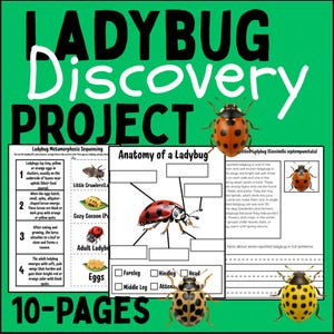 Ladybug Life Cycle & Metamorphosis Worksheets | 10-Page Science Activity Pack with Identification Cards , Facts | Homeschool,  Classroom PDF