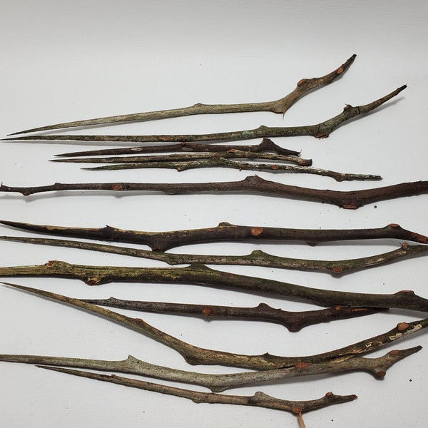Black Locust Wands,A powerful wood which draws off the element of fire and Saturn's energy. Known for its courage, passion, and strength.