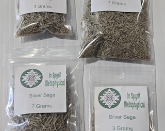 Silver Sage Artemisia cana The Mystical Desert Guardian for Protection & Purification | InSpryitMetaphysical
