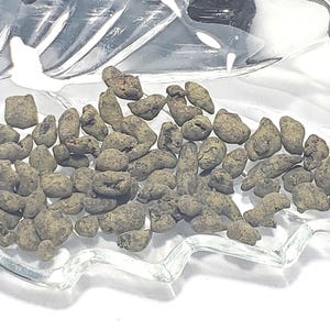 May include: Close-up of a clear glass leaf-shaped dish filled with numerous small, irregularly shaped, olive-green tea leaves. The tea leaves have a textured appearance and are densely packed within the dish, creating a visually appealing arrangement.