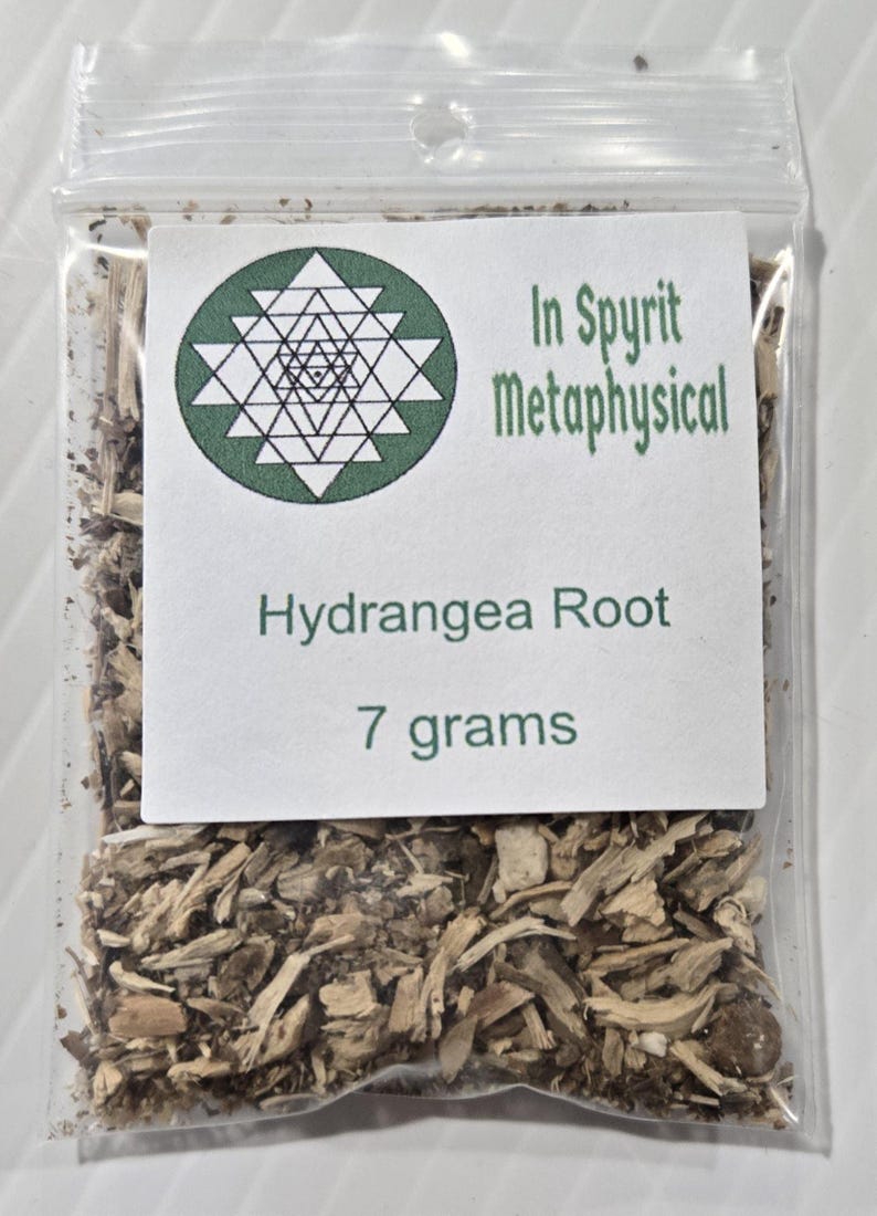 A close-up photograph from InSpyrit Metaphysical showing a single clear plastic bag of dried hydrangea root, with a round white company label marked "Hydrangea Root 7 grams."