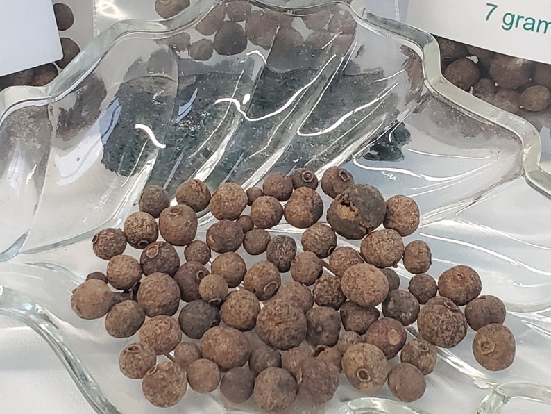 A close-up, top-down view of a pile of whole, dark brown Allspice berries resting in a clear, decorative glass bowl. The berries are round with a rough, matte texture, and the natural lighting emphasizes their deep earth tones against the reflective glass.