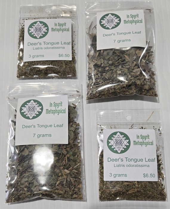 Deer's Tongue Herb (Vanilla Leaf) for Spiritual Insight & Protection | InSpryitMetaphysical
