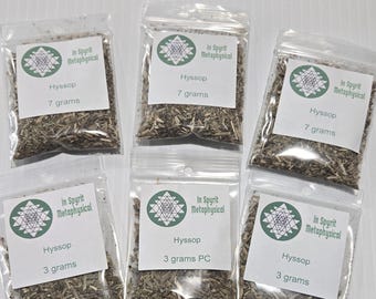 Hyssop Herb Spiritual Cleansing Wellness Tea - Dried Hyssop Ritual Baths Purification Herbal Brews - 3g 7g 1oz - In Spyrit Metaphysical