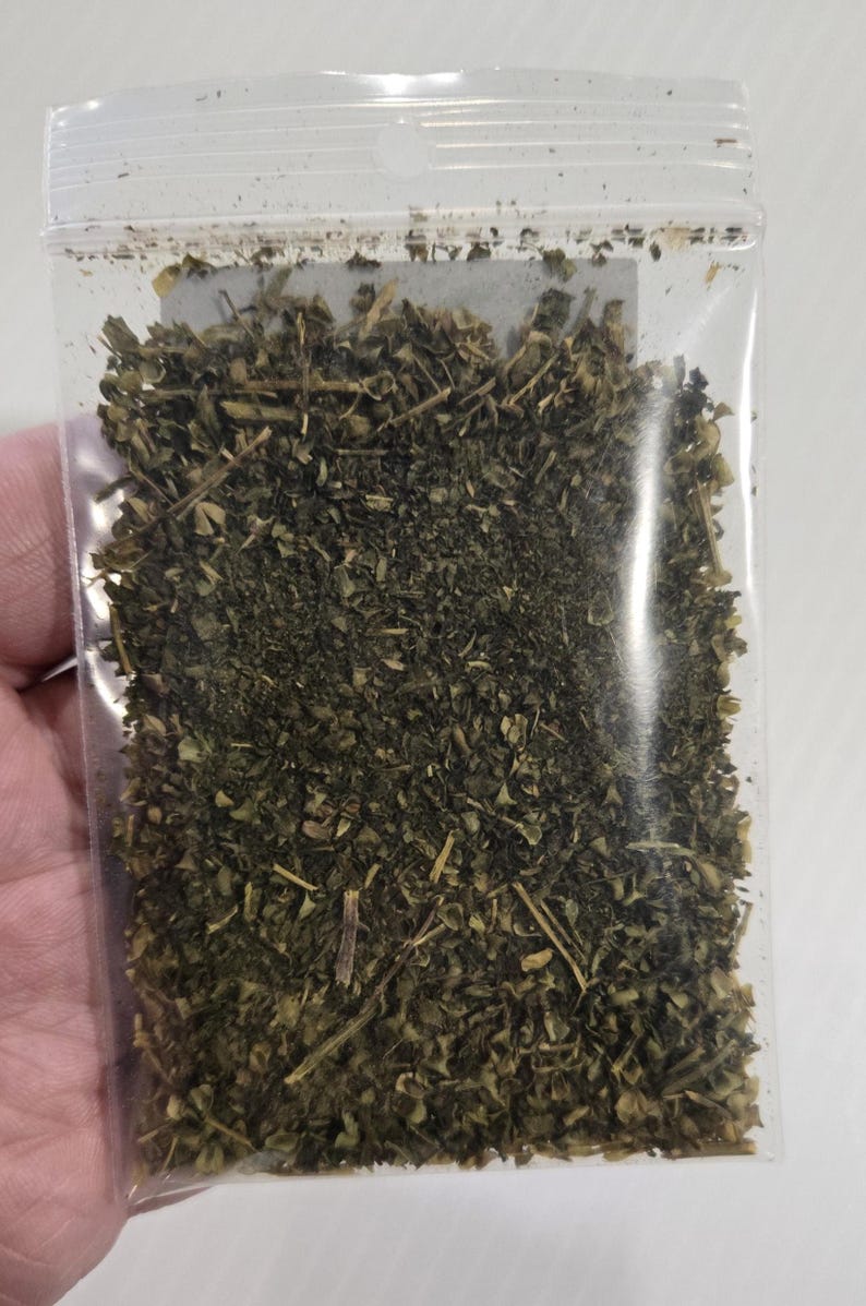 A hand holding a 7-gram clear ritual bag filled with dried organic Skullcap Leaf from In Spyrit Metaphysical, showcasing the texture and quality of the earthy botanical blend inside.