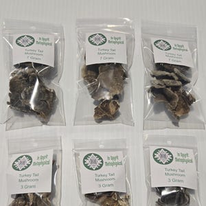 May include: Six clear plastic bags filled with dried turkey tail mushrooms. Each bag has a white label with the text "In Spyrit Metaphysical", "Turkey Tail Mushroom", and the weight in grams. The bags are arranged on a white surface.