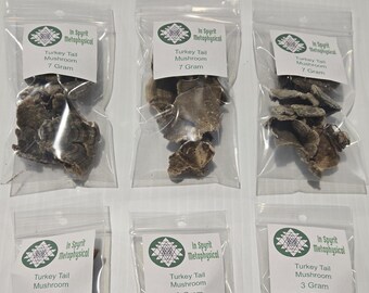 Dried Turkey Tail Mushroom (Trametes Versicolor) - InSpyrit Herbs Ritual Botanical - Ethically Wildcrafted - 3g to 1oz