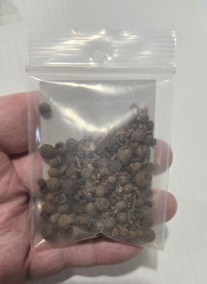A person's hand holding a small, clear plastic bag filled with dark brown, whole Allspice berries from InSpryitMetaphysical. The bag is transparent, showing the texture of the dried berries inside against a plain white background.