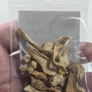 A close-up, vertical shot of a bags of Solomon's Seal Root from InSpyrit Metaphysical. The image focuses on the clear window of the packaging, highlighting the detailed texture and natural tan-to-brown colors of the chopped, dried roots. The white brand label is visible on the side.