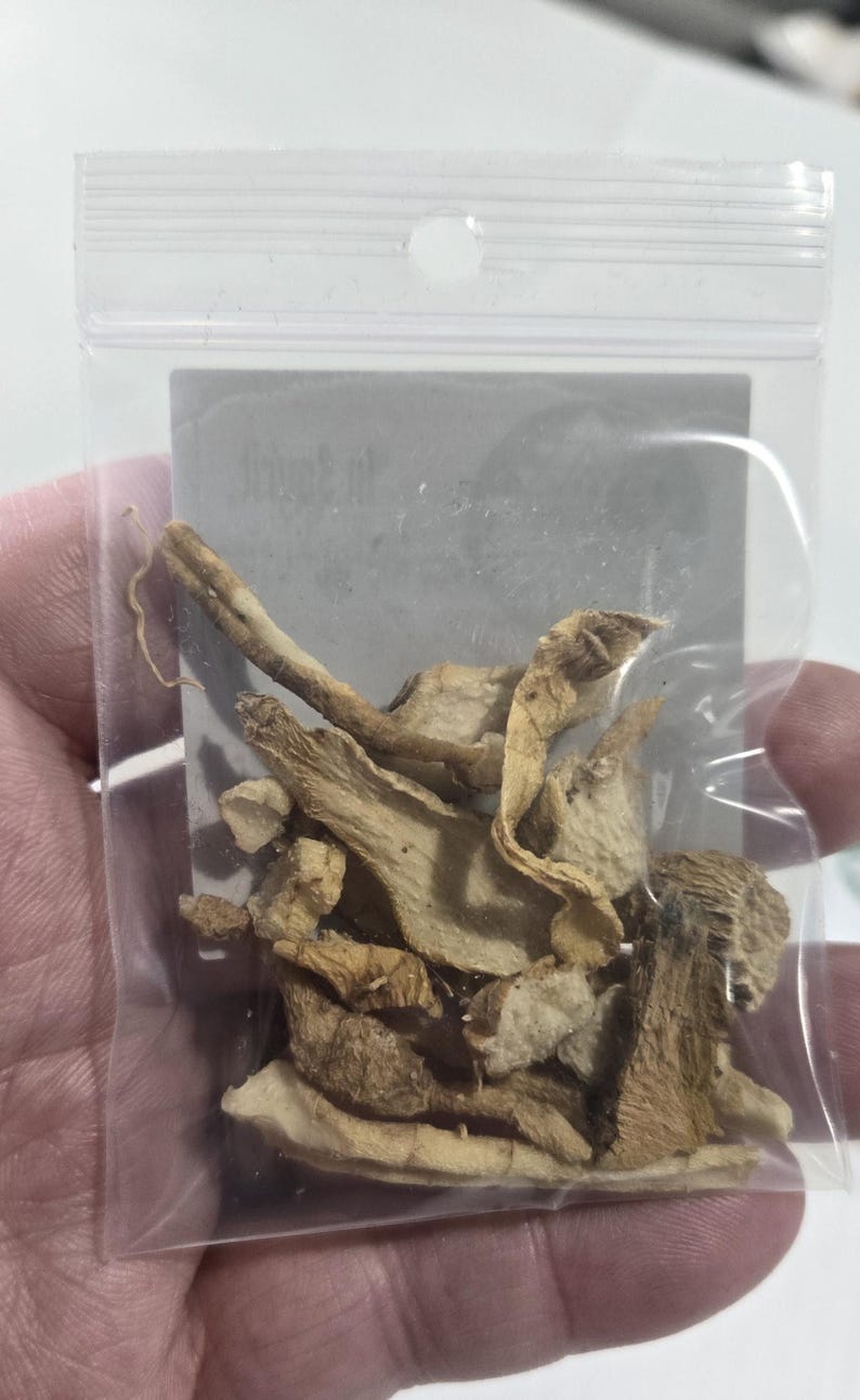 A close-up, vertical shot of a bags of Solomon's Seal Root from InSpyrit Metaphysical. The image focuses on the clear window of the packaging, highlighting the detailed texture and natural tan-to-brown colors of the chopped, dried roots. The white brand label is visible on the side.