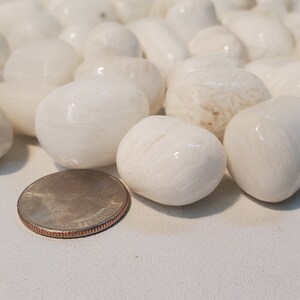 May include: A collection of smooth, white, polished stones, with a quarter coin for size comparison. The stones vary in shape and size, with a glossy finish. The stones are likely decorative or for crafts.