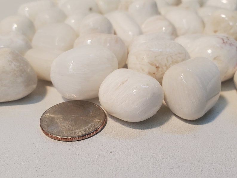 May include: A collection of smooth, white, polished stones, with a quarter coin for size comparison. The stones vary in shape and size, with a glossy finish. The stones are likely decorative or for crafts.