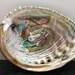 Abalone is known as the Ears of the Sea. It is used in ritual ceremonies to replenish the soul.New Age Metaphysical,Witchcraft supplies shop