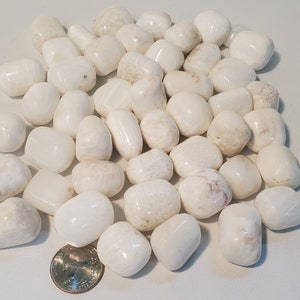 May include: A collection of smooth, white tumbled stones of varying sizes. Some stones have subtle beige or tan markings. A U.S. quarter coin is included for size comparison. The stones are likely used for decorative purposes or in crafts.