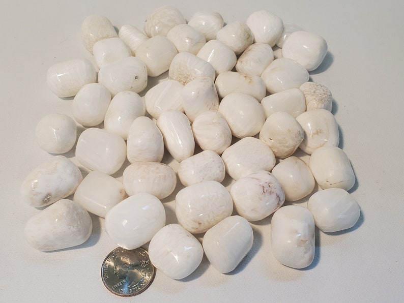 May include: A collection of smooth, white tumbled stones of varying sizes. Some stones have subtle beige or tan markings. A U.S. quarter coin is included for size comparison. The stones are likely used for decorative purposes or in crafts.