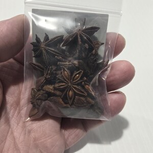 A hand holding a clear, resealable bag of Whole Star Anise pods to show scale. The photo highlights the large, star-shaped brown botanical pods and the professional InSpyrit Metaphysical label.