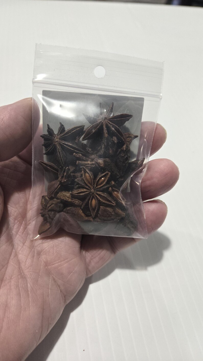 A hand holding a clear, resealable bag of Whole Star Anise pods to show scale. The photo highlights the large, star-shaped brown botanical pods and the professional InSpyrit Metaphysical label.