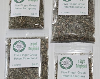 Potentilla reptans (erva-de-cinco-dedos) para sucesso e boa sorte - InSpyritmetaphysical