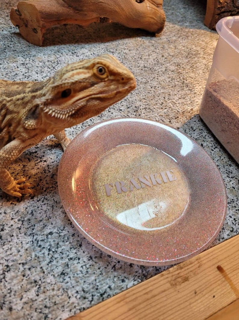 Reptile Dish Resin Plate Custom Plate Pet Dish Food Etsy
