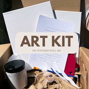 May include: A DIY textured wall art kit in a brown cardboard box. The kit includes two white canvases, a jar of white paint, a red plastic tool, two small containers of paint, two white paint brushes, and a set of step-by-step instructions.