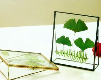 Marco de fotos estéreo de latón, marco de fotos de doble cristal de alta calidad. Marco de fotos de cristal retro, almacenamiento de fotos. Almacenamiento de muestras.