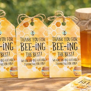 Etichetta regalo stampabile, Grazie volontario, Grazie per essere il MIGLIORE!, Versetto della Bibbia, Scrittura, Cristiano, Ape, Dolce come il miele
