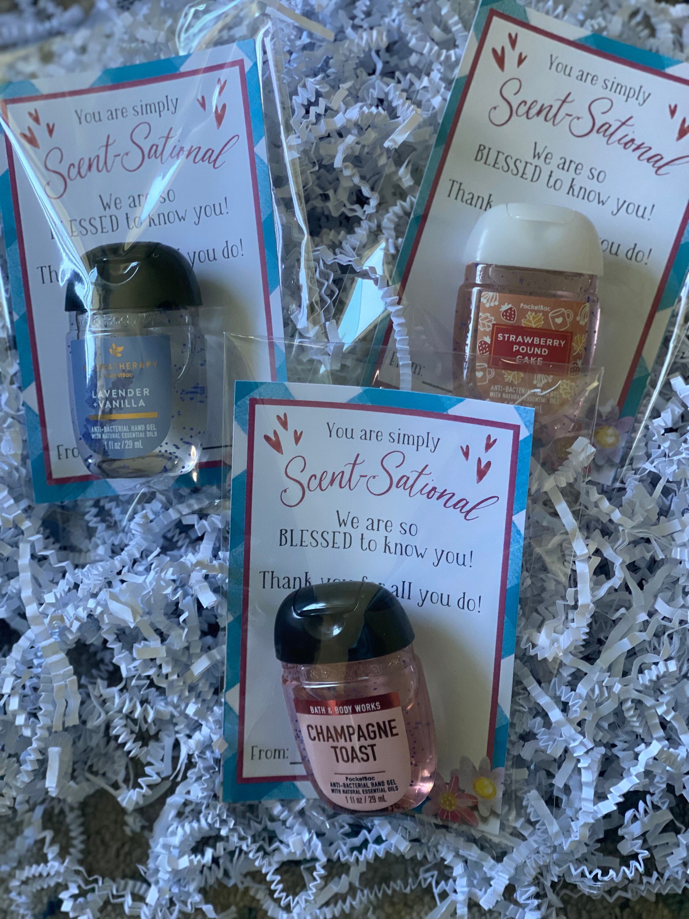 Bath and Body Works Gift Card Holder Children's Ministry Thank You Gift ...