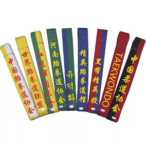 Custom Embroidered Belt for Taekwondo Hapkido Martial Arts/ Karate Belt Judo Kickboxing Ju-Jitsu Shotokan Junior/Custom Belt Name