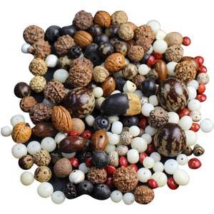 Puede incluir: Una colección de cuentas y semillas variadas en tonos marrón, beige, negro, blanco y rojo. El surtido incluye cuentas redondas, ovaladas y texturizadas, algunas con patrones naturales y agujeros para ensartar. Las cuentas varían en tamaño y forma.