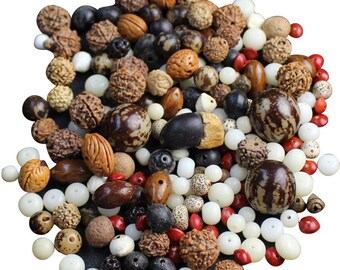 Natural Multi-shape Bodhi Seed Beads Mala Space Beads Jewelry Findings DIY Accessories