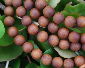 6mm 8mm 10mm 12mm Natural Old Babi Wood Aromatic Beads 108 Mala , Round Bead  Guru Bead Yoga Buddhism Prayer Mala Beads
