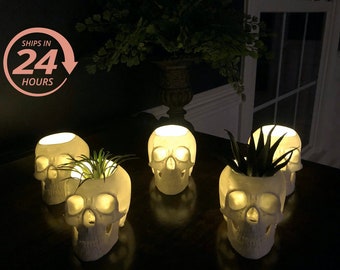 Halloween Lightt Up Skull (4”), Small Air Planter, Glowing Skull, Cool Men’s Gift, Gothic Home Decor, Home Decor, Men’s Gift,Scary Halloween