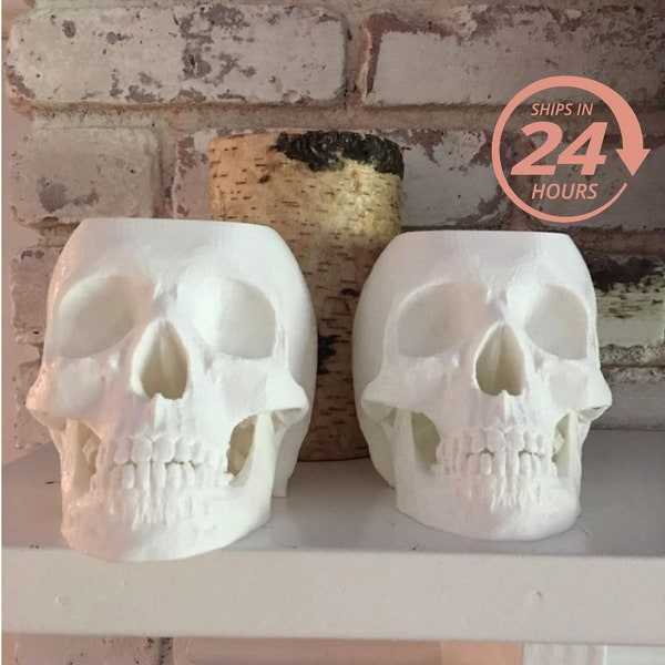 Large Halloween Skull Decor, Gothic Home, Realistic Skull, Skull, Unique Home Decor, Gothic Home Decor, Skull Planter, Skeleton, Air Planter