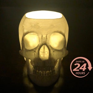 Skull Planter Light Up | Glowing Skull | Unique Decor | Spooky Decor | Light up Skull | Spooky Skull | Skeleton Decor