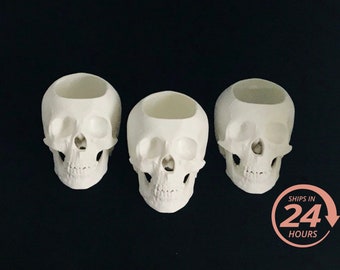 Halloween Skull Planter (Set of 3) | Spooky Planter | Succulent Planter | Human Skull | Skull Gift | Small Air Planter | Gothic Home Decor