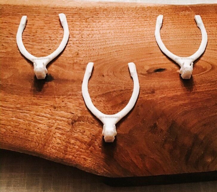 The Wishbone Game Realistic Turkey Wishbones Kids Activity Etsy